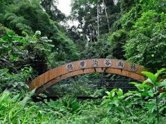 -西双版纳原始森林公园