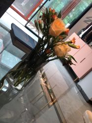 -JC·YOGA静禅瑜伽普拉提