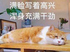 -PAWTOY爪e玩偶店(天兴罗斯福店)