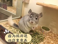 -龙猫仔乐园(惠福东路店)