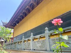 -上海青龙寺