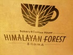 -喜马拉雅森HIMALAYAN FOREST