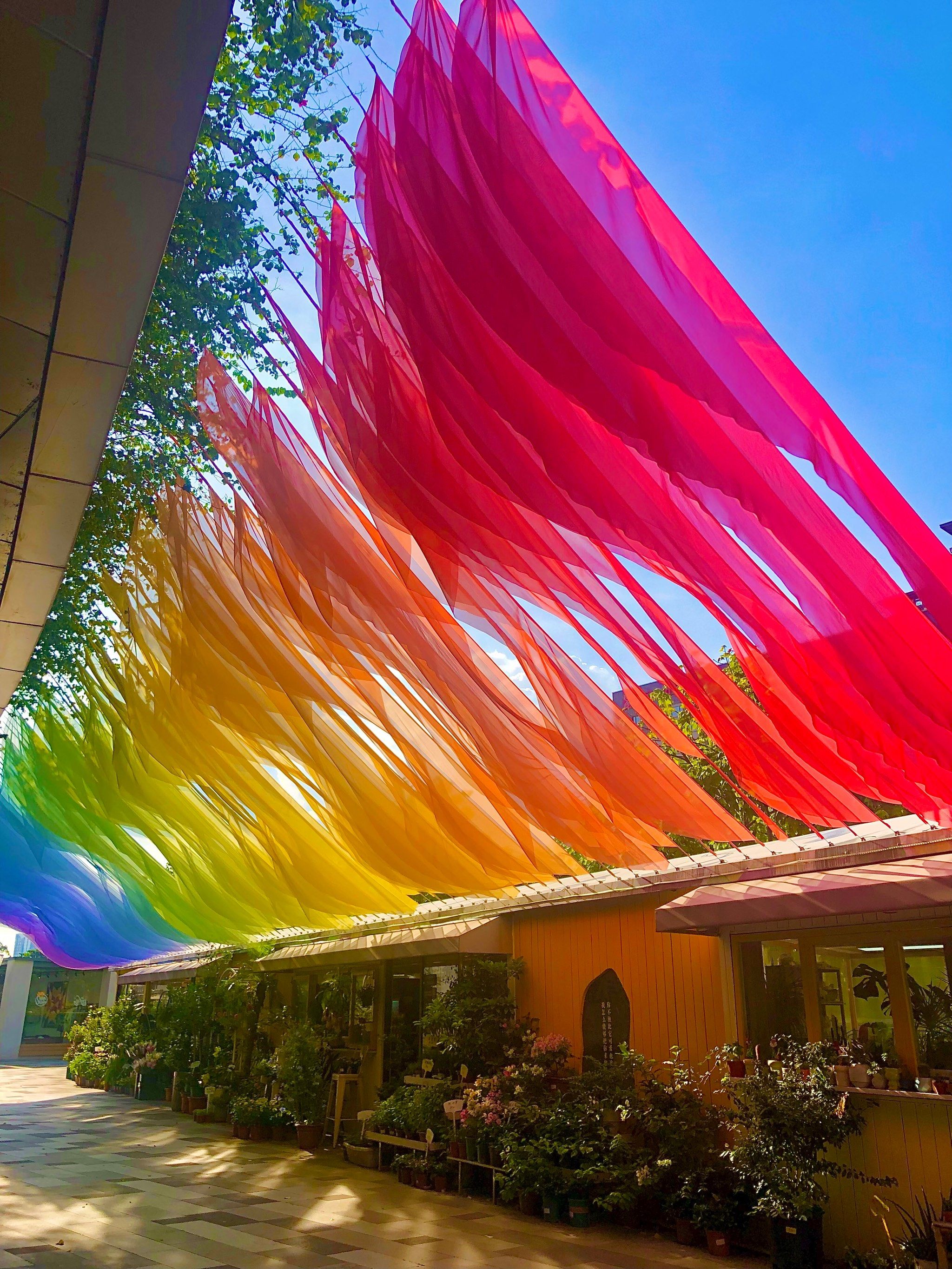 听说最近环宇城有条彩虹街🌈

