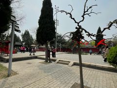 -天宁寺