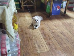 -红升老菜馆(巨兴街店)