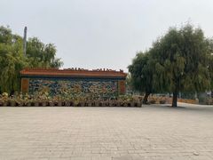 -白洋淀风景区
