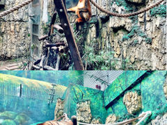 -石排湾郊野公园