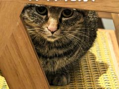 -大象厨房(重庆道店)