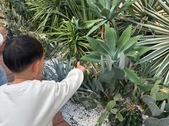-宁波九龙湖开元度假村