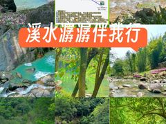 -广州白江湖森林公园