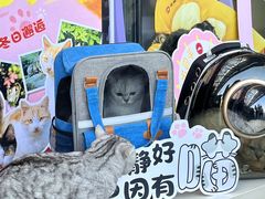 -必胜客(江东万达店)