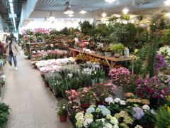 -双季花艺园艺市场(浦东店)