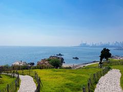 -小麦岛公园