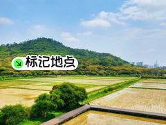 -风云岭森林公园