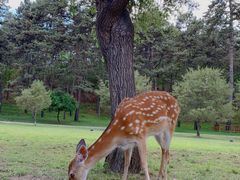 -承德避暑山庄景区