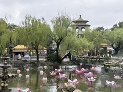 -中国翰园碑林