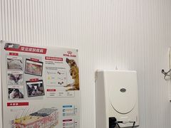 -守诺宠物医院·眼科· 特色牙科·异宠专科(虹口店)