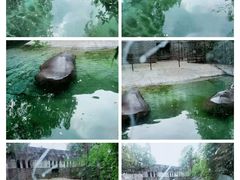 -成都动物园