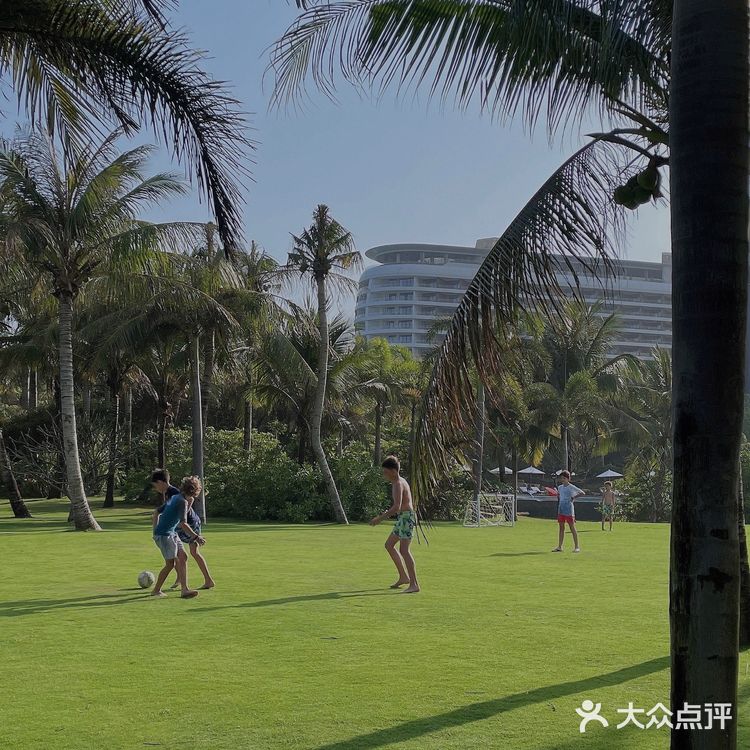 🌴 三亚艾迪逊· 私人沙滩边的椰林也太好拍了