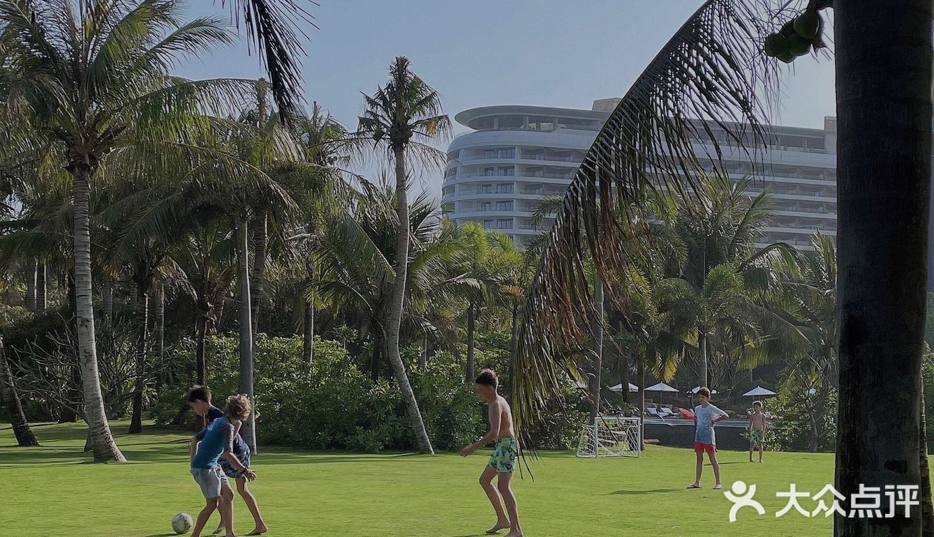 🌴 三亚艾迪逊· 私人沙滩边的椰林也太好拍了