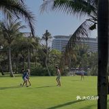 🌴 三亚艾迪逊· 私人沙滩边的椰林也太好拍了