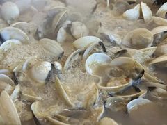 -顺德哥卜卜贝(旗舰店)