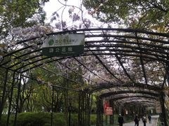 -渤公岛生态公园