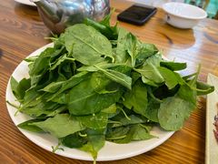 枸杞叶-顺德公平靓正特色牛花粥(花都店)