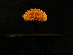 -三亚太阳湾柏悦酒店