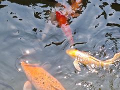 -水濂山森林公园