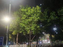 -天河体育中心