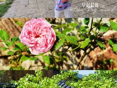 -南京市无想山景区