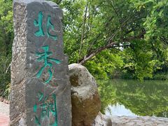 -金林水乡