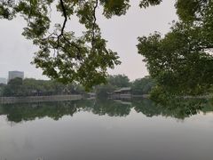 -月湖公园