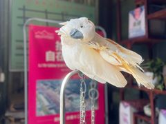 -四海楼(如皋定慧禅寺店)
