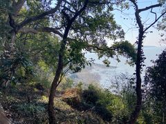 -平湖九龙山旅游度假区