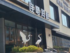 -连鹭海鲜·海肠捞饭·海胆饭(星海店)