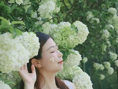 -杭州城北体育公园