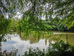 -深圳仙湖植物园