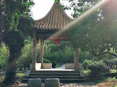 -雨花胜境