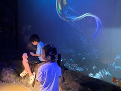 -烟台海昌鲸鲨海洋公园