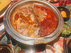 -牛New寿喜烧(中山公园龙之梦店)