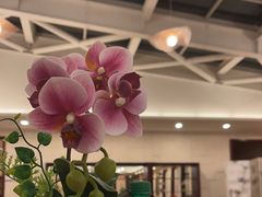 -中家鑫园温泉酒店鑫悦汤泉