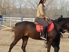 -月河湾马术俱乐部(朝阳店)