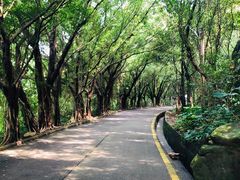 -南沙天后宫景区