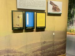 -潜山国家森林公园