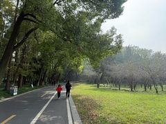 -采石矶景区