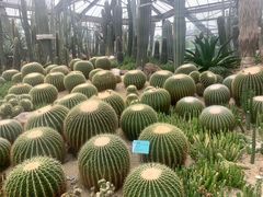 -华南国家植物园-售票处