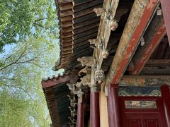 -晋祠公园