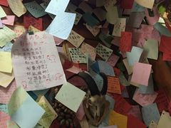 -泸沽肴(泸沽湖大洛水村农村信用社旁店)